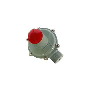 Regolatore di Pressione per Gas Naturale - Product Image 5