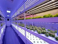 Ferme intelligente pour culture hydroponique système d'agriculture verticale 40ft conteneur d'expédition serre agricole pour plantes médicinales, herbes, laitue