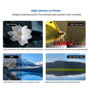 ติดตั้งง่าย จอ LED วงกลมสีเต็มรูปแบบ สำหรับภายในอาคาร P2.91 P3.91 P4.81 จอแสดงผล LED ทรงกลมขนาดใหญ่ - Product Image 5