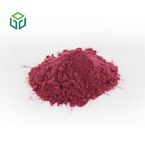 Органический экстракт бузины в порошке с антоцианами, 100% водорастворимый, пищевой, чистый экстракт плодов бузины, фасовка в бочках - Product Image 2