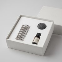 Diffuseur d'huiles essentielles en acier inoxydable avec base à ressort et sphère en pierre de lave volcanique personnalisée, ensemble en vrac