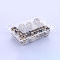 Plateau d'oeufs de caille en matériau PET Offre Spéciale haute transparence 12(3*4) pièces pour l'entreposage et les fournitures de supermarché