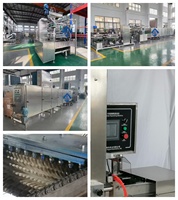 Machine automatique commerciale de fabrication d'ours en gomme Machine à bonbons mous Ligne de production de bonbons mous