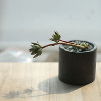 Jardinière cylindrique en béton blanc minimaliste, pot à succulentes en ciment écologique, pour bureau et balcon, plante verte