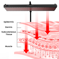 IDEATHERAPY Écran tactile 630nm 660nm 810nm 830nm 850nm Thérapie par lumière infrarouge Appareil de luminothérapie LED Panneau de luminothérapie rouge