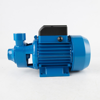 1 pouce sortie fonte QB60 électrique 0.5HP 0.37kW prix compétitif vente en gros pompes de pompage périphériques ferme pompe à eau domestique