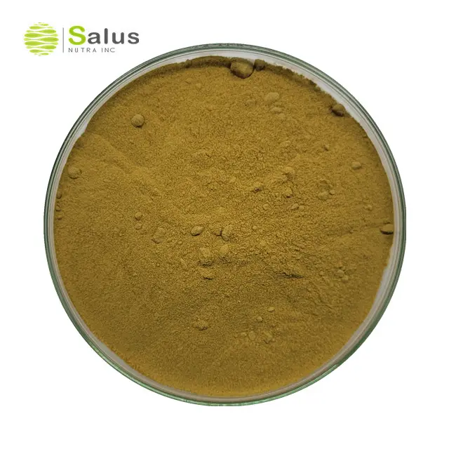 Natural Hydroxytyrosol 5% 10% Oleuropein 20% 40% Olive Leaf Extract