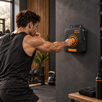 Machine d'entraînement de boxe intelligente murale avec application, test de puissance et de vitesse des coups, compteur de calories pour entraînement à domicile