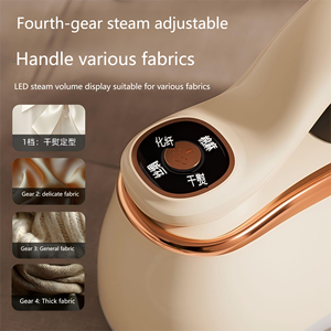 Défroisseur Vapeur Portable Domestique Compact avec Écran d'Affichage, Brosse Vapeur Chaude à Main, Double Usage Humide et Sec - Product Image 3