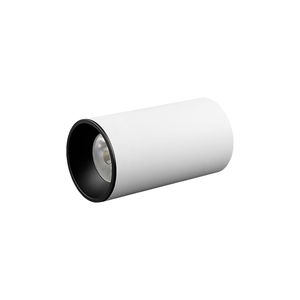 15W 4000K Cob Led Plafond Opbouw <span class=keywords><strong>Downlight</strong></span> Met Gold Cone