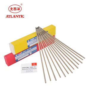 ATLANTIC 2024 Prix d'usine Électrode flexible en plastique solide <span class=keywords><strong>de</strong></span> soudage ordinaire CHS157Mn Baguette <span class=keywords><strong>de</strong></span> soudage en fonte E307-15 - Product Image 2