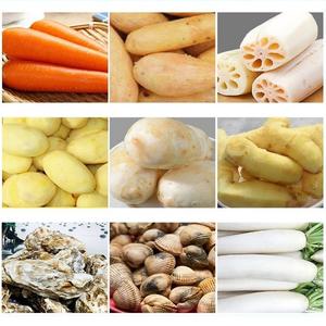 Laveuse à rouleaux à <span class=keywords><strong>brosse</strong></span> en acier inoxydable TEKFOOD 200 kg 300 kg 500 kg 1000 kg pour restaurant, machine à laver les légumes - Product Image 2