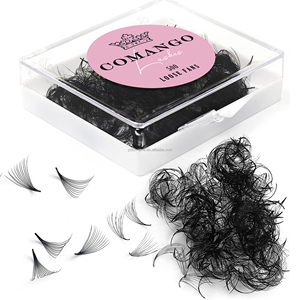 500 bouquets <span class=keywords><strong>de</strong></span> <span class=keywords><strong>cils</strong></span> pré-faits faits à la main, base pointue, tige moyenne, volume, extensions <span class=keywords><strong>de</strong></span> <span class=keywords><strong>cils</strong></span> - Product Image 5