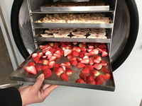 Kleine capaciteit elektrische multifunctionele vriesdroogapparatuur, mini-vriesdroger voor het drogen van snoep en fruit, roestvrij staal