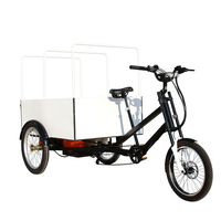 Vélo de livraison électrique à pneus larges, tricycle cargo électrique à plateau ouvert, haute capacité de charge, batterie 48V, pour adultes