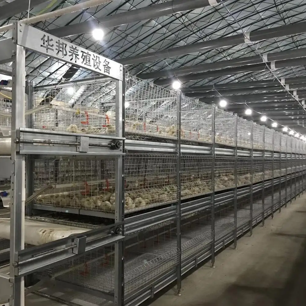 Poultry Farming Equipments Automatic H type battery system Broiler cages for sale