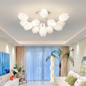 Zèle Éclairage Décoration de La Maison Nordique Pendentif Lumière Chambre Hôtel Fleur Forme Acrylique Plafonnier - Product Image 2