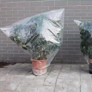 <b>Clear</b> <b>Plastic</b> Plant Cover 60x40 Inches Waterproof Garden Protection <b>Sheet</b> For Horticulture Use - Product Image 4