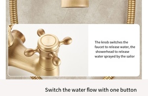 Ensemble de douche en laiton de style européen avec mitigeur en céramique, finition brossée, barre coulissante à double poignée, fonctions Pause/<span class=keywords><strong>Jet</strong></span>/Pluie - Product Image 6