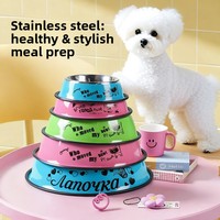 Bols d'alimentation et d'abreuvement pour chiens et chats en acier inoxydable avec base antidérapante, vente en gros