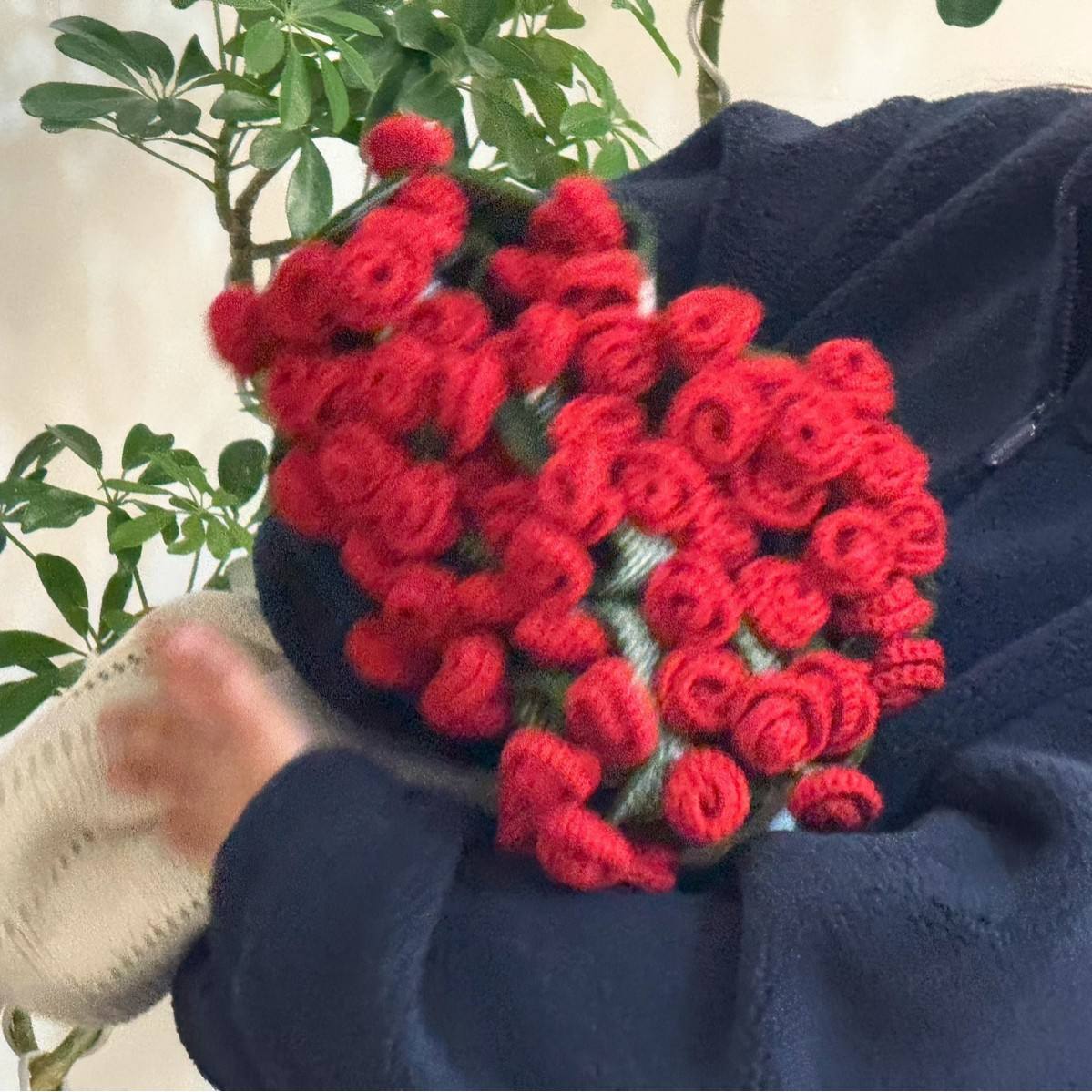 พรมสีแดงกุหลาบ เส้นผ่านศูนย์กลาง 0.6 เมตร และดอกกุหลาบ 35 ดอก