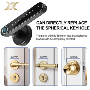 Tuya/TTlock Bedroom Hotel Fingerprint Smart Room <strong>Door</strong> <strong>Lock</strong> Gold Color Biometric Digital Handle <strong>Lock</strong> for Interior Wooden <strong>Door</strong> - Product Image 5