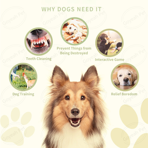 2024 Biodegradable Rubber <strong>Dog</strong> Chew <strong>Toy</strong> Interactive <strong>Dog</strong> <strong>Treat</strong> <strong>Dispenser</strong> <strong>Toy</strong> - Product Image 4