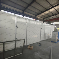 Industriële voedseldroger continue voedseldroogmachine hoge capaciteit voor gedroogd fruit, groente, champignons en snackproductielijn