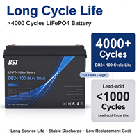 Baterai LiFePO4 Deep Cycle 24V 100Ah Grosir 2560Wh IP66 Bluetooth untuk RV, Kapal, Tenaga Surya, Cadangan Daya Off Grid, 4000 Siklus