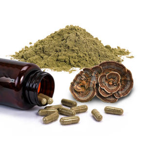 OEM 100% Extractos De Plantas de Turquia cauda pó extrato <span class=keywords><strong>Yunzhi</strong></span> extrato pó cápsula - Product Image 1