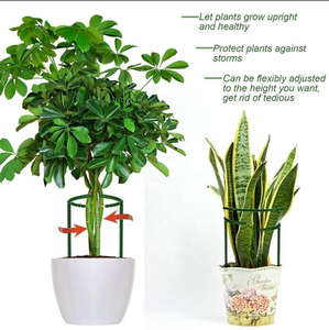 Plant <strong>Support</strong> Garden <strong>Flower</strong> <strong>Support</strong> Stake Half Round Ring Plastic Plant Cage Holder <strong>Flower</strong> Climbing Trellis Plant Vegetable - Product Image 5