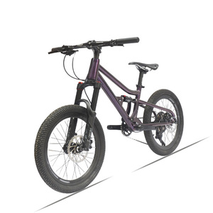 Vélo de montagne pour enfants Hulda 20 pouces en alliage d'aluminium, 10 vitesses, double suspension, tout-terrain - Product Image 5