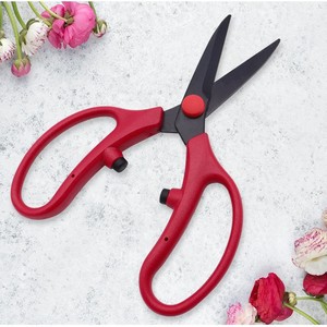 Tijeras de podar de 60 mm de acero al carbono con cabeza recta para jardinería de árboles frutales y flores. - Product Image 2