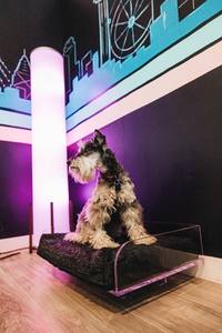 Kunden spezifische Haustier produkte Haustier liefert Acryl-Haustier bett - Product Image 4