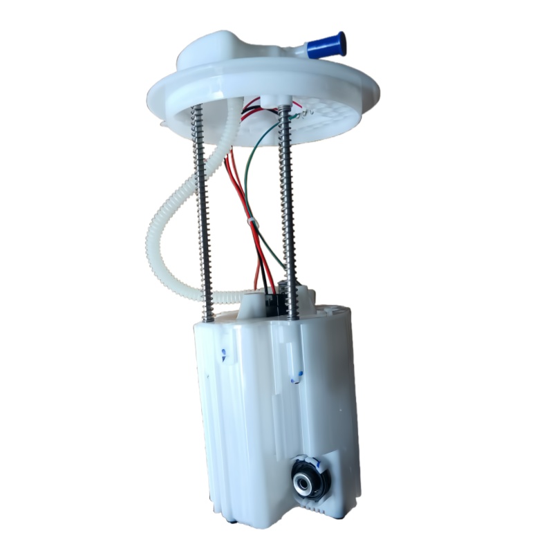 Wuling Hongguang  Wuling  National 6 Euro 6 Gasoline Vehicle Fuel Pump Assembly, Automotive Fuel Pump and Accessories Pump Parts Image 2