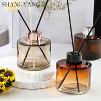 Diffuseur d'huiles essentielles en verre 120 ml pour aromathérapie, avec bâtonnets en rotin