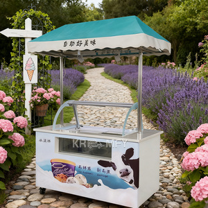 Chariot de vente ambulante de crème glacée et de gelato de style ancien, best-seller 2025 - Product Image 4