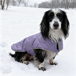 Luxury Winter All-Weather <strong>Dog</strong> Jacket Waterproof Puffer Pet <strong>Coat</strong> for Bassotto Wiener Dachshund Hamburg Teckel <strong>Sausage</strong> Polyester - Product Image 3