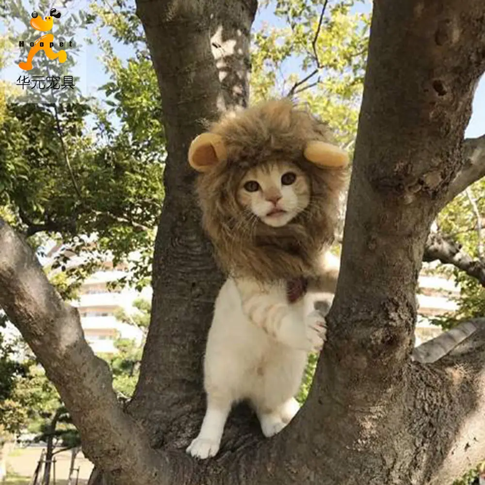 Kawaii Leeuw Huisdier Kostuum Grappige Leuke Huisdier Veranderende Hoed Verjaardagstaart Hoed Dragen Pluizige Kat Hoed