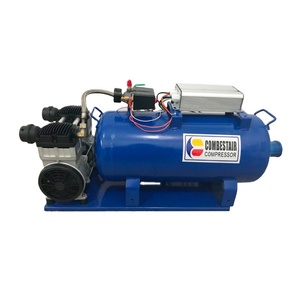 Compresor de Pistón de 1.5HP para Automóvil, 110V CC, Nuevo Tipo, Certificación ISO9001, Silencioso, Sin Aceite, 550W, Componentes del Motor con Certificación CE - Product Image 1