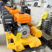 Compacteur de plaques portable à moteur à essence/véhicule diesel vibrant de petite taille pour les travaux de construction