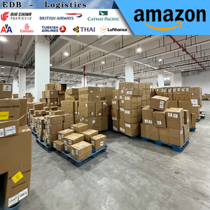 सबसे सस्ती लॉजिस्टिक कंपनी परिवहन चीन से अमेरिका के लिए समुद्री वायु परिवहन समुद्री वायु शिपिंग - Product Image 6