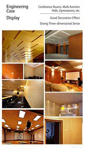 Paneles Acústicos Perforados: Absorbentes de Sonido, Ecológicos e Ignífugos, Ideales para Salas de Ópera y Estudios de Grabación. - Product Image 6
