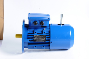 มอเตอร์อะซิงโครนัส YEJ แบบปรับความถี่ได้ สามเฟส AC 380V 3KW 4HP IP55 50/60Hz 2-8P - Product Image 3