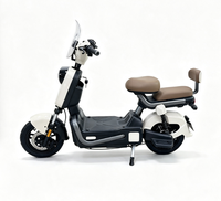 Vélo Électrique Urbain Double Siège 350W 48V de Haute Qualité pour Adultes – Vélo de Commutation Électrique pour 2 Personnes – Offre Spéciale