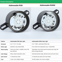Projecteur LED programmable DMX512 24V ODM, projecteur LED RGB RGBW adressable pour hôtel, salle de banquet