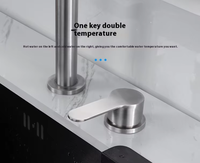 Keran dapur Stainless Steel 304 2 lubang, keran dapur pegangan tunggal, keran tarik, pemasangan pada dek, hitam, sentuhan akhir 3 tahun
