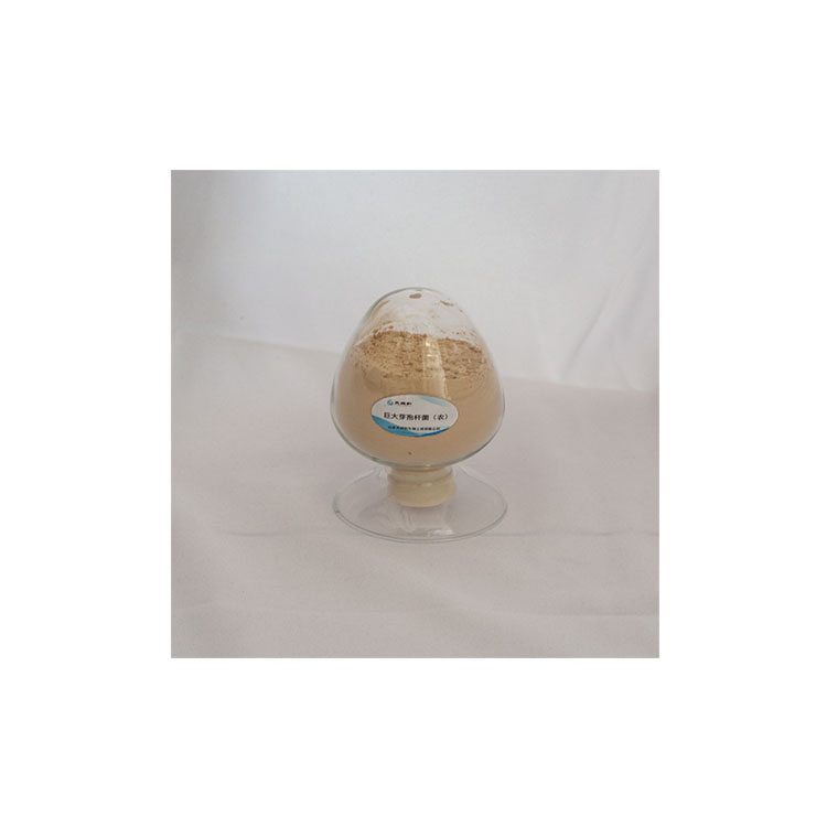 Новинка, заводская цена, удобрение для желе Bacillus Megaterium