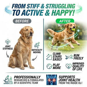 Hüftgelenk-Unterstützung Weiche Kautabletten mit Kollagen für Bänderunterstützung bei Aktiven und Älteren Hunden GMP ISO COA - Product Image 2