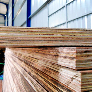 Factory Vietnam's 28mm Resistente al desgaste Anti-agrietamiento Contenedor de suelo de madera contrachapada de abedul natural E0 Formaldehído MDF Madera contrachapada marina - Product Image 3